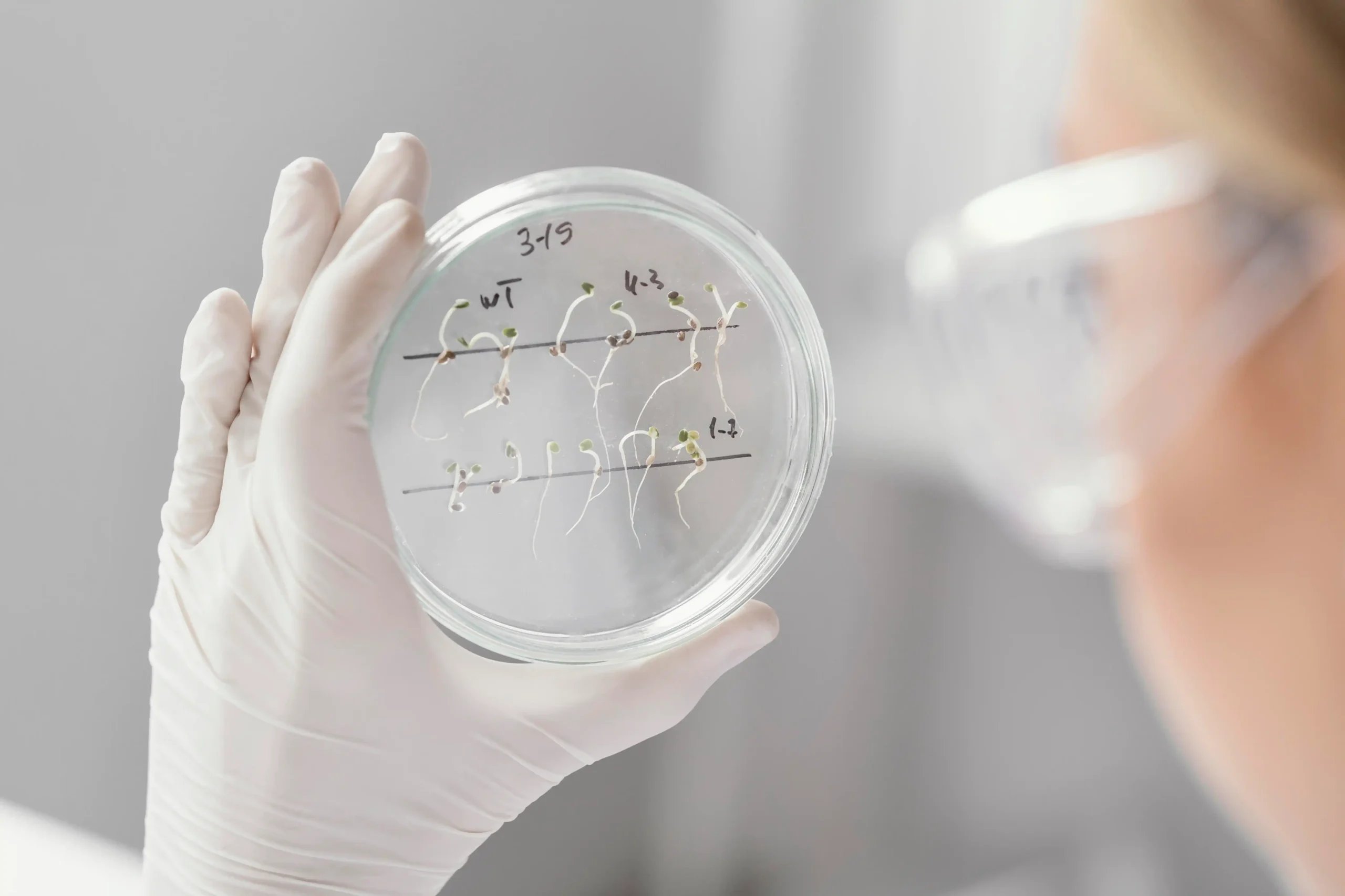 Stem Cell Therapy in Tijuana, Mexico 13 Scientist in a laboratory examining samples for stem cell therapy in Tijuana, Mexico, to ensure treatment quality.