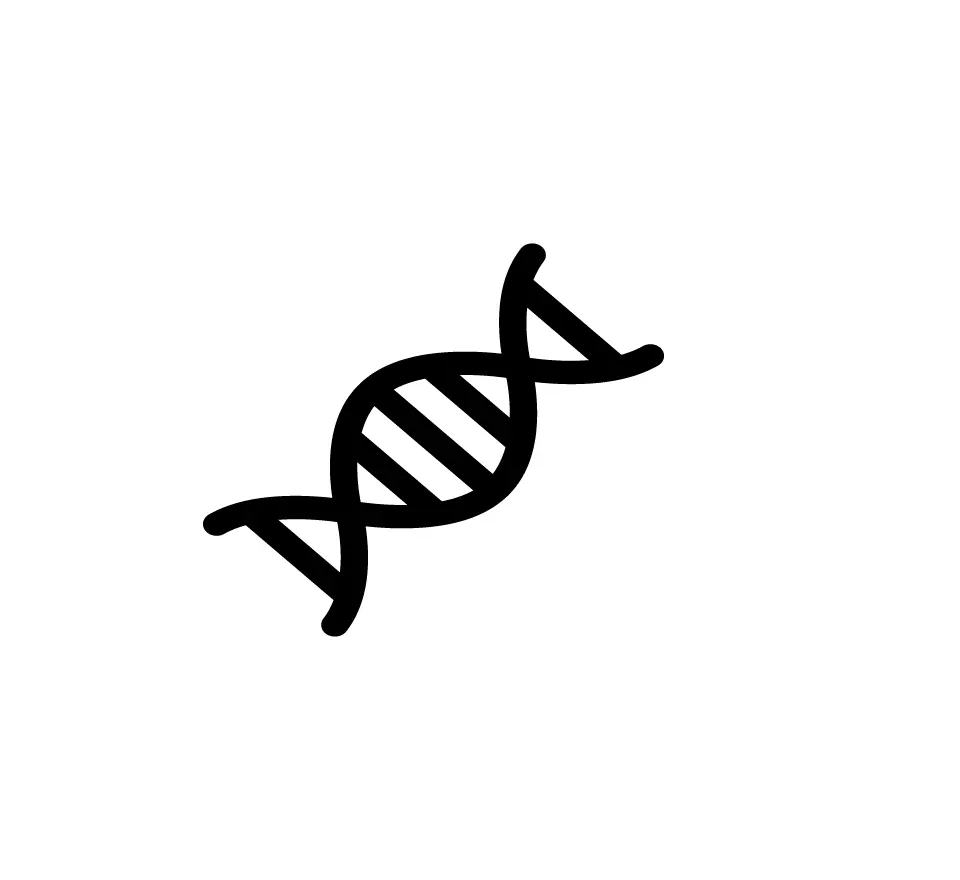 IVF in Tijuana, Mexico 20 DNA helix icon representing advanced IVF technology in Mexico and genetic screening of embryos.