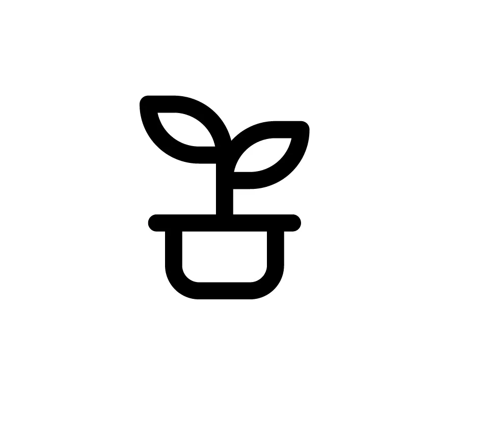 IVF in Tijuana, Mexico 21 Sprout plant icon representing the embryo transfer and implantation phase of IVF in Tijuana.