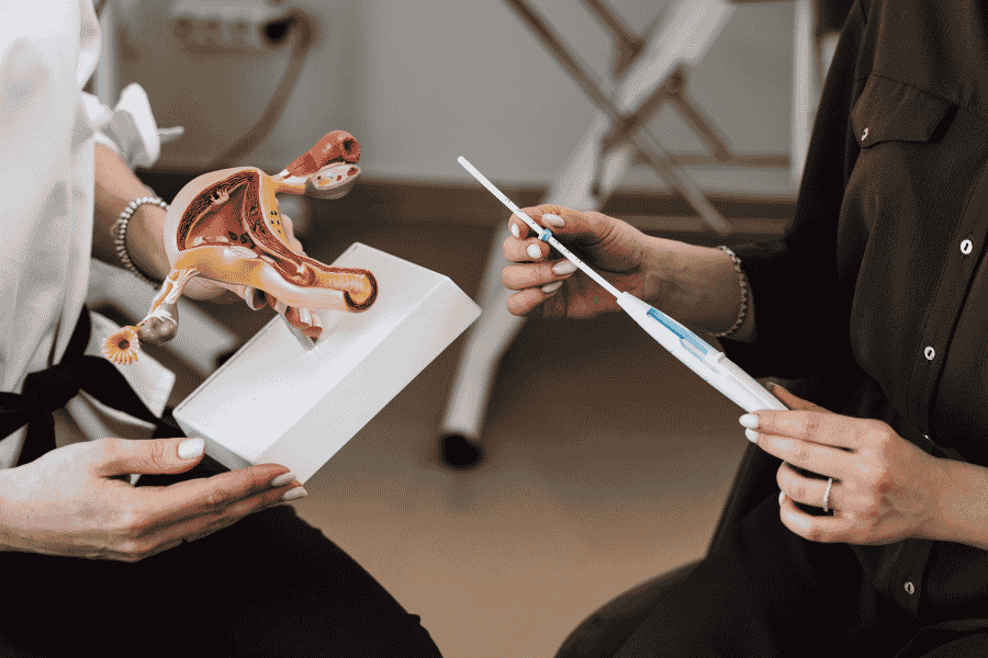 Medical professional demonstrating the IUI procedure using a reproductive anatomy model and catheter.