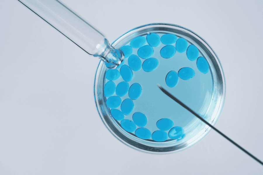 Close-up of a petri dish with blue cells and laboratory pipette, representing egg freezing and cryopreservation.