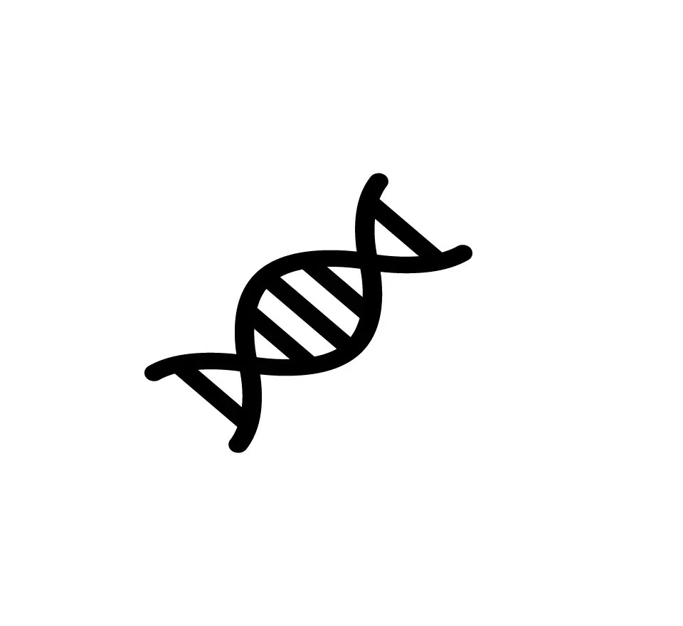 IVF in Tijuana, Mexico 20 DNA helix icon representing advanced IVF technology in Mexico and genetic screening of embryos.