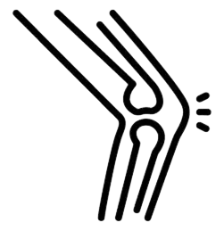 Joint Cartilage Regeneration in Tijuana, Mexico 13 Diagram of a knee joint illustrating the process of joint cartilage regeneration in tijuana.